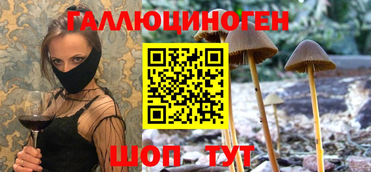 COCAIN  ГАШИШ  Кудымкар  Меф кристаллы  Канабис  Вход с VPN 