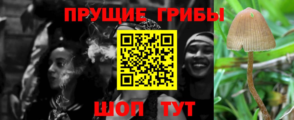 Псилоцибиновые грибы Magic Shrooms  Вход с VPN  Кудымкар  Галлюциногенные грибы Psilocybine cubensis 